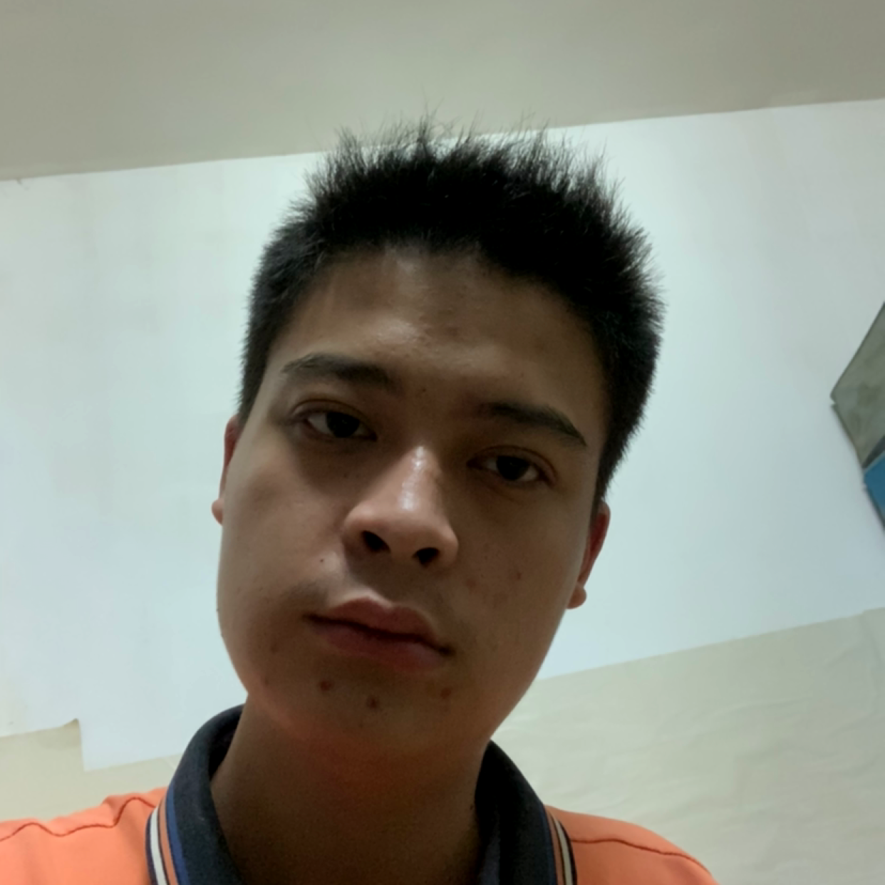 可靠邂逅白羊的照片