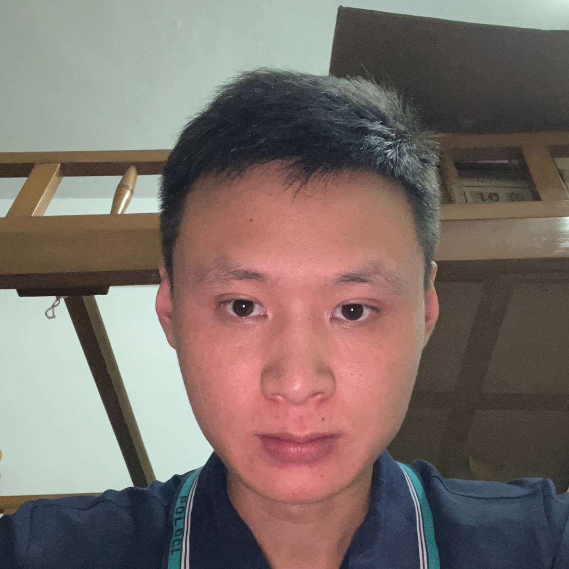 敏感笑含羞草的照片