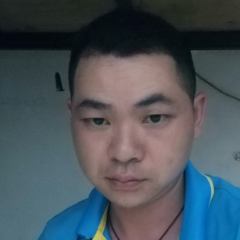 执着相许小懒猪的照片