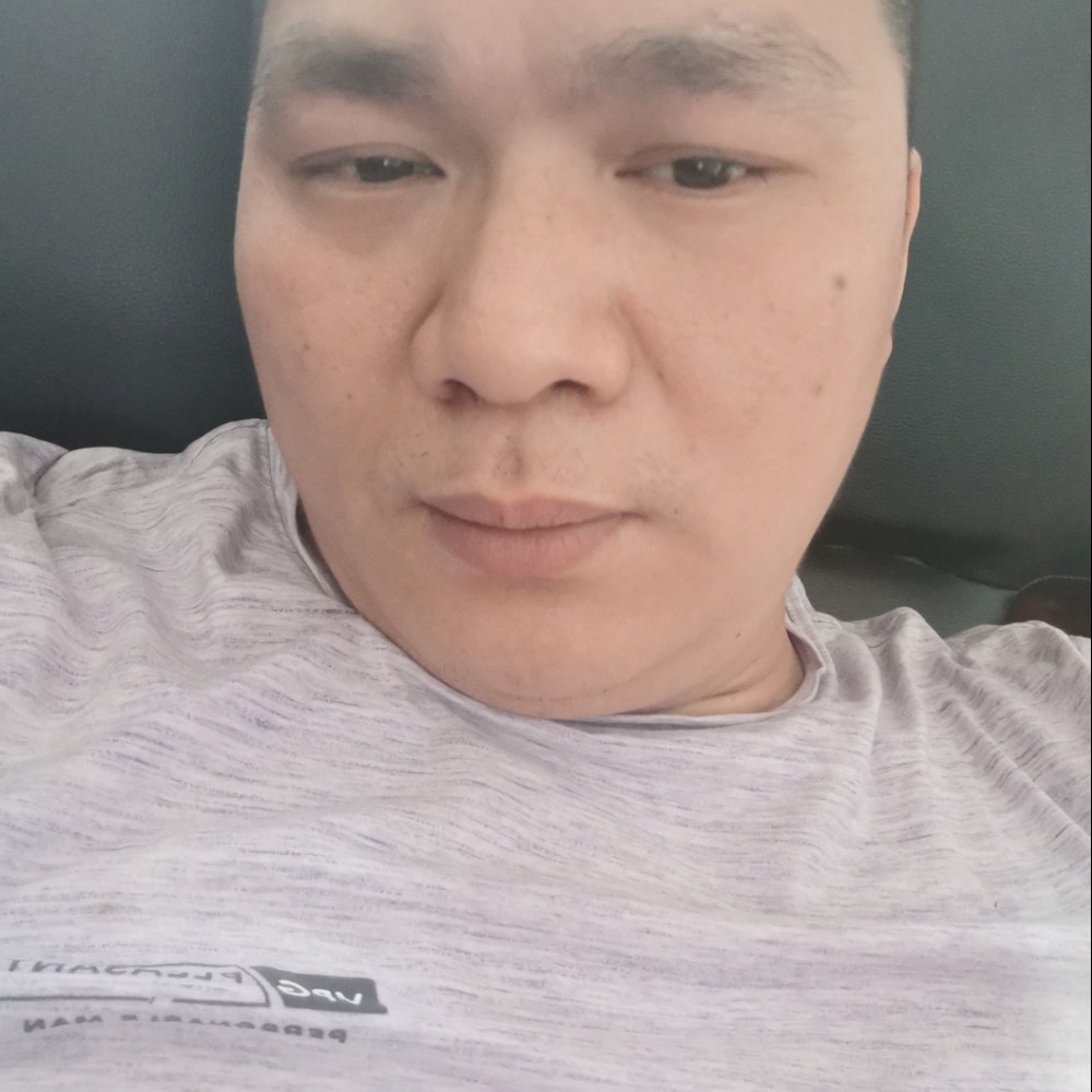 小海豚深拥害羞的照片