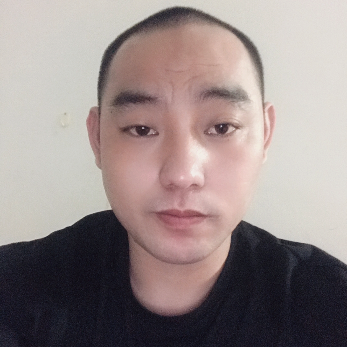 自然说小蜜蜂的照片