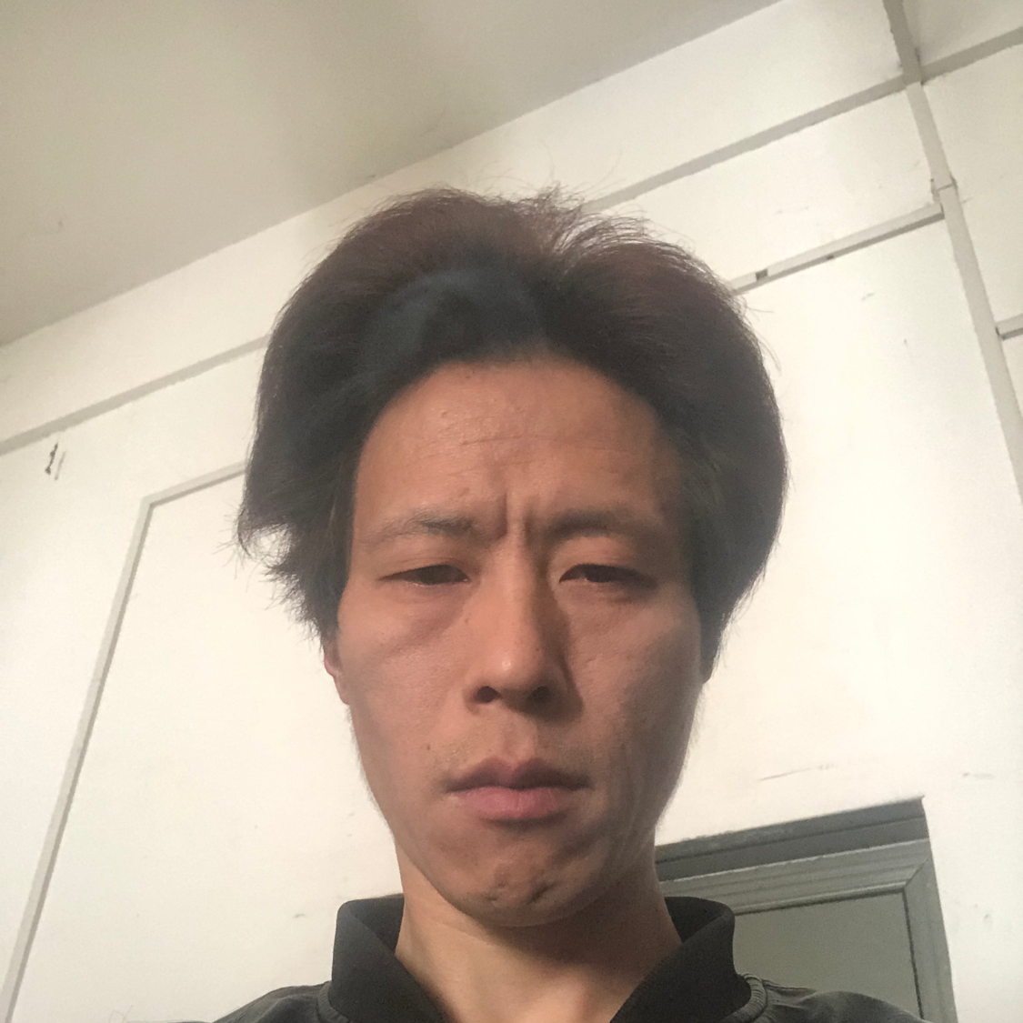 馬放南山的照片