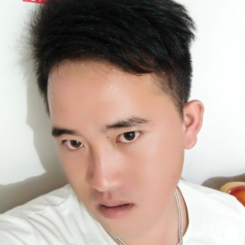 画不动的北北的照片
