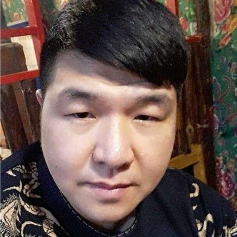 独特蹙眉钢笔的照片