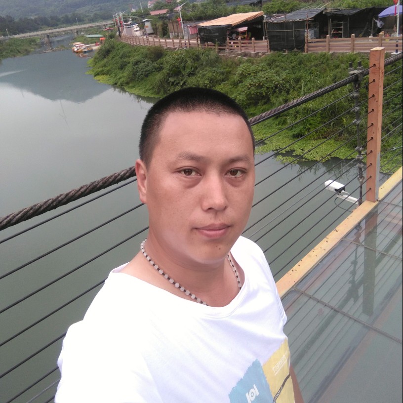 年轻的哈密瓜的照片