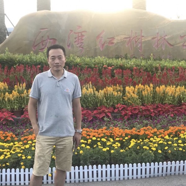 长青树星月的照片