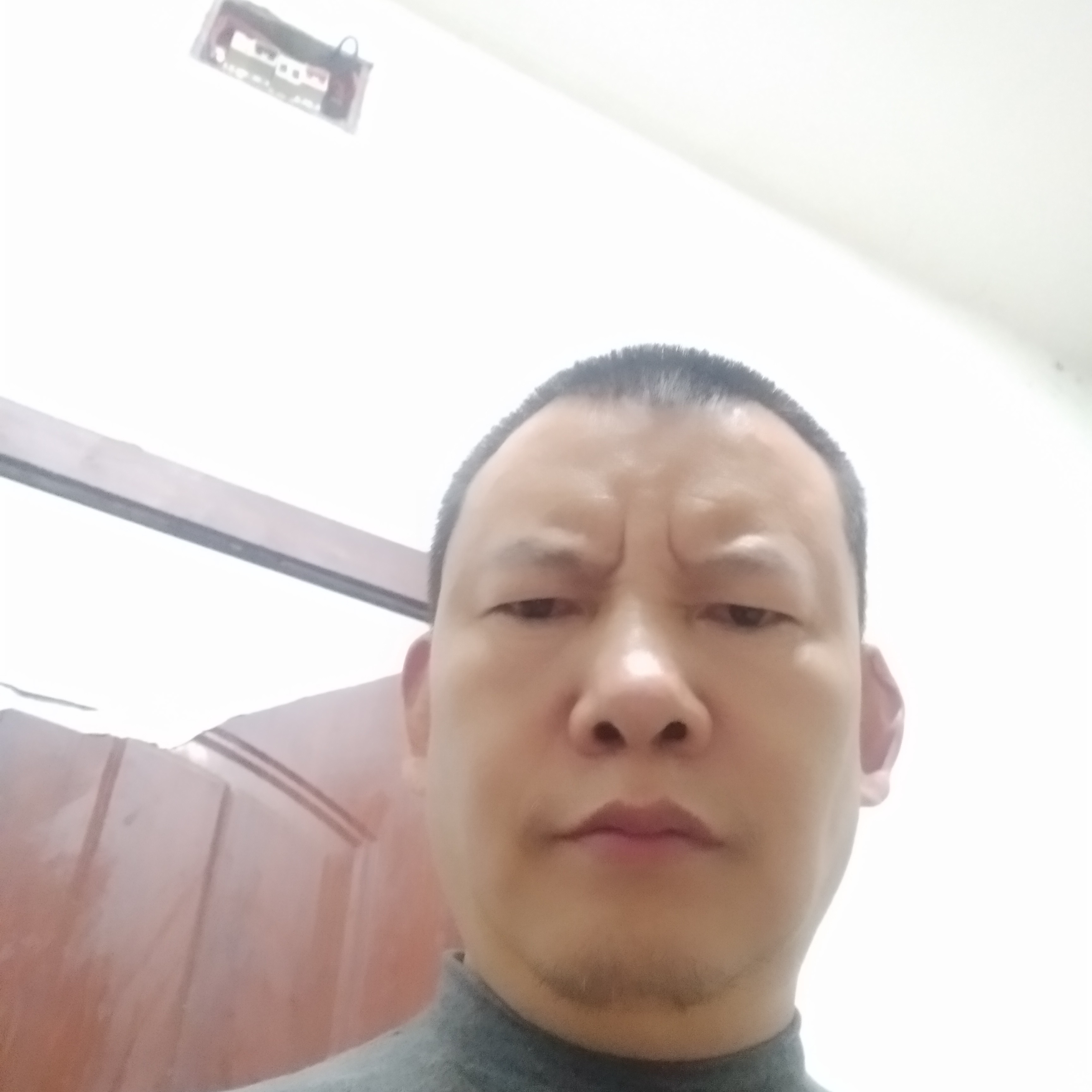 鲤鱼改变歌曲的照片