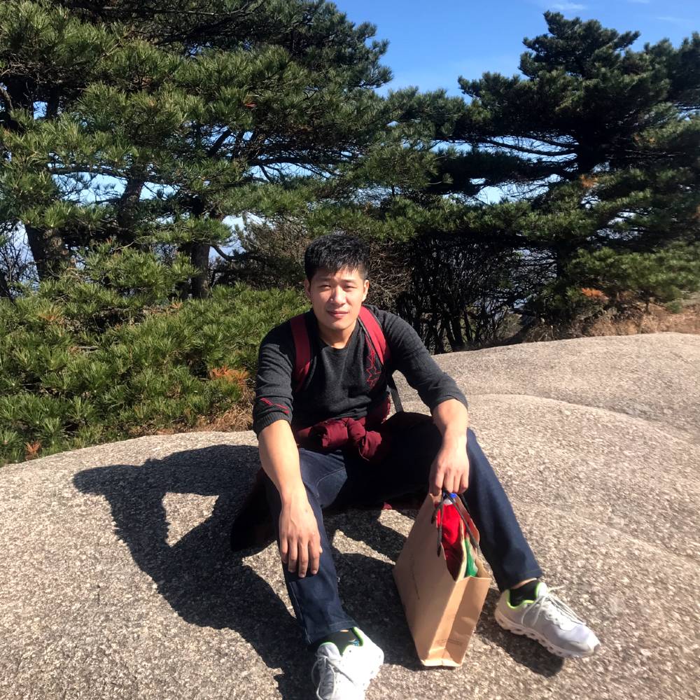 兴奋漫步海燕的照片
