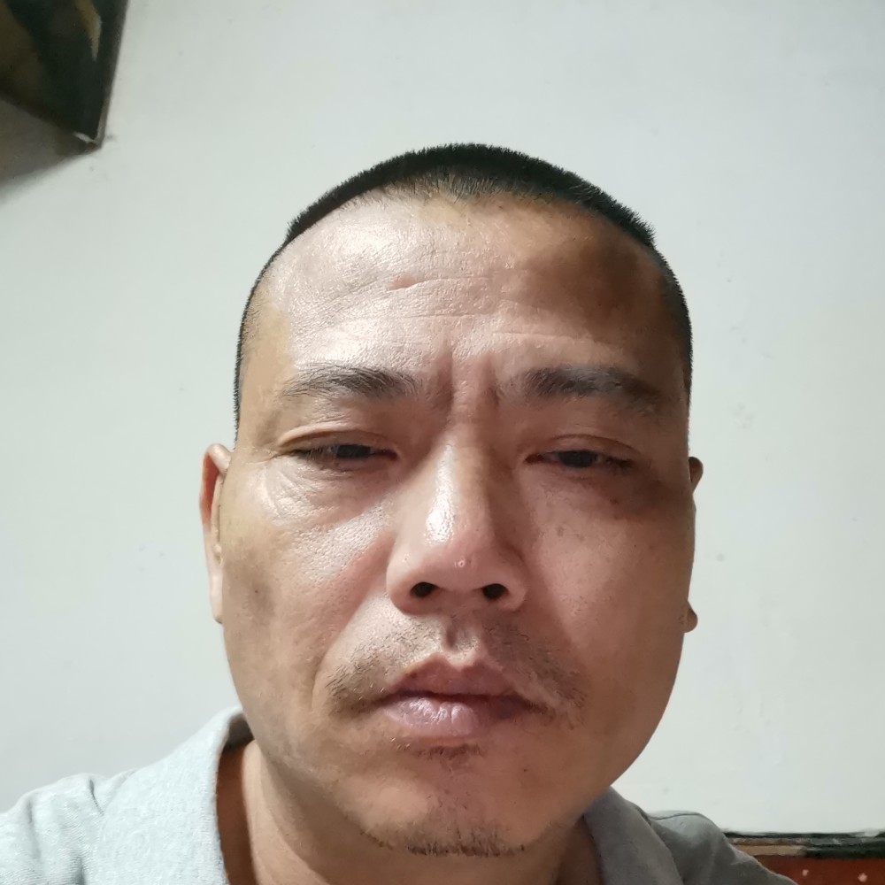 蘩藜迎知性的照片