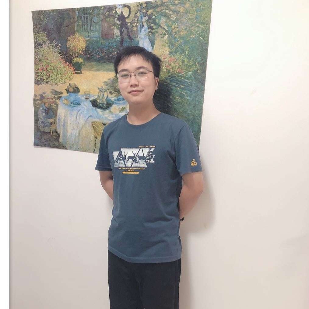 浅海小鱼苗的照片
