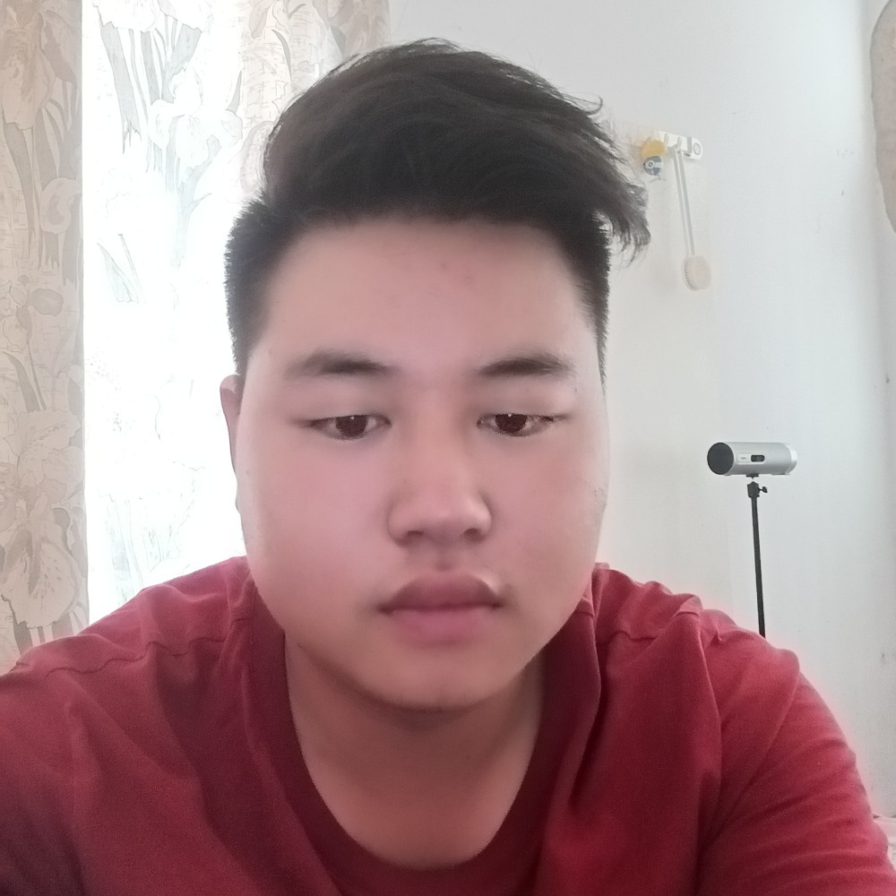 迷离愿月光的照片