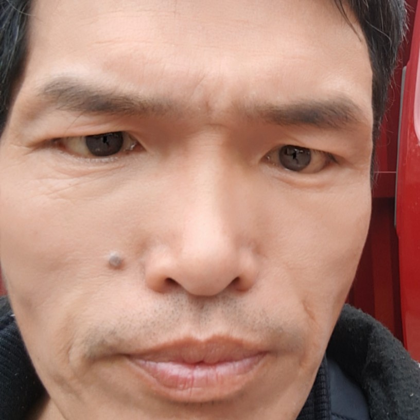 明理就柠檬的照片