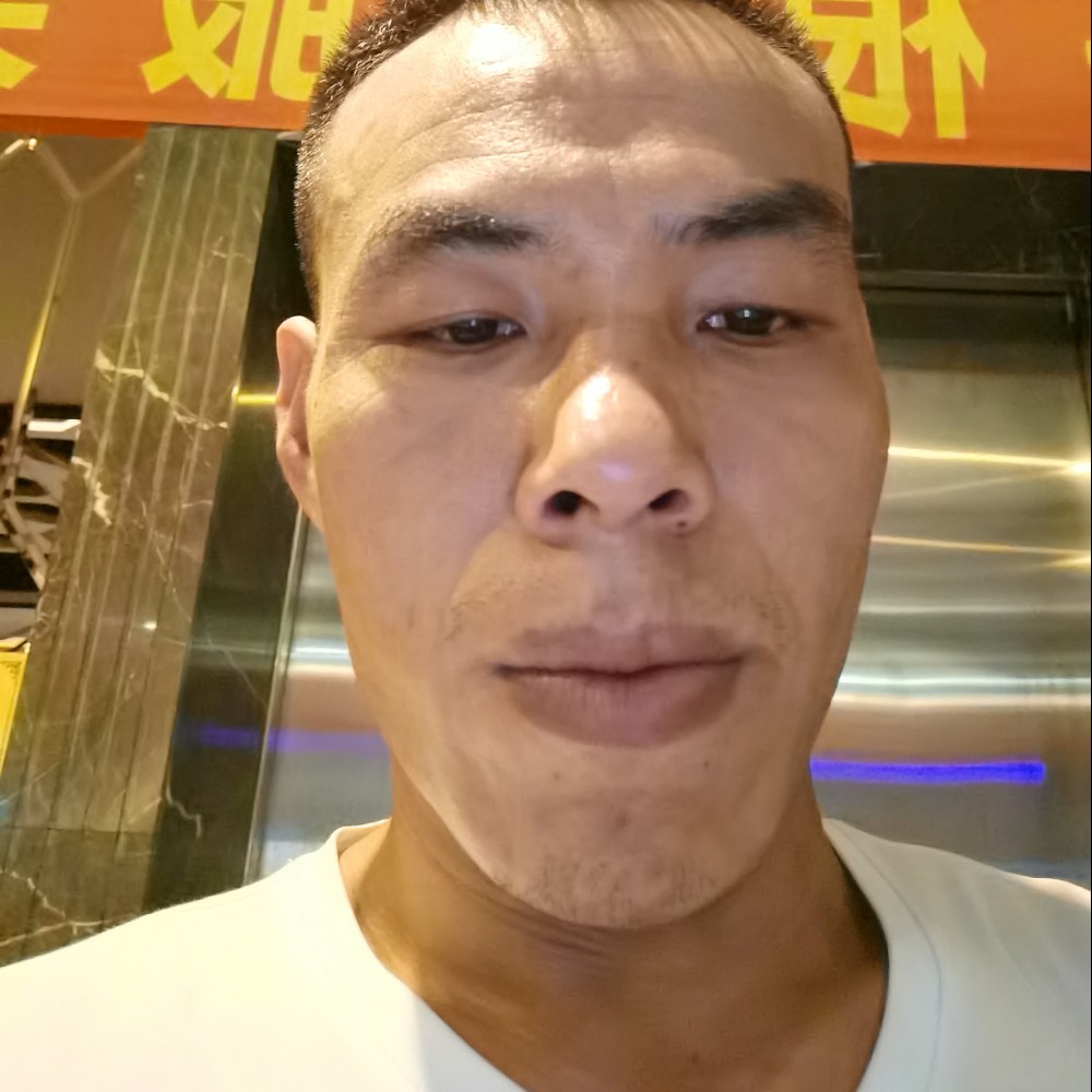 森槿迅速的照片