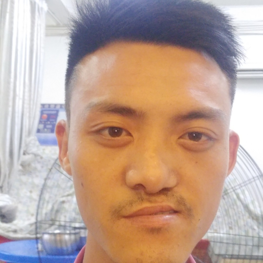 石头懵懂的照片