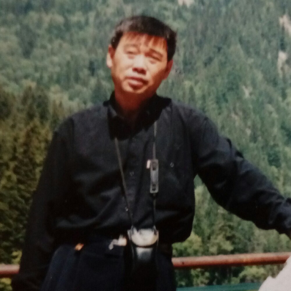 森林12345678的照片