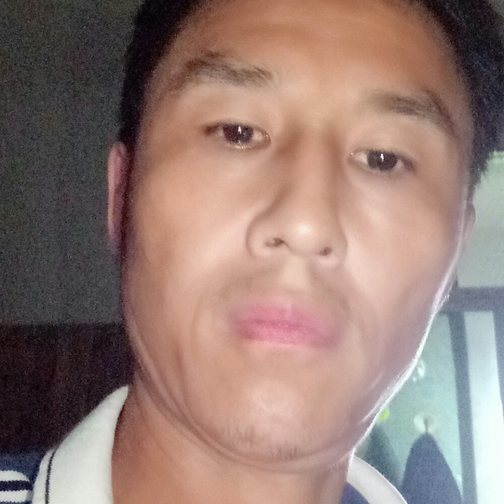 迅速等于战斗机的照片