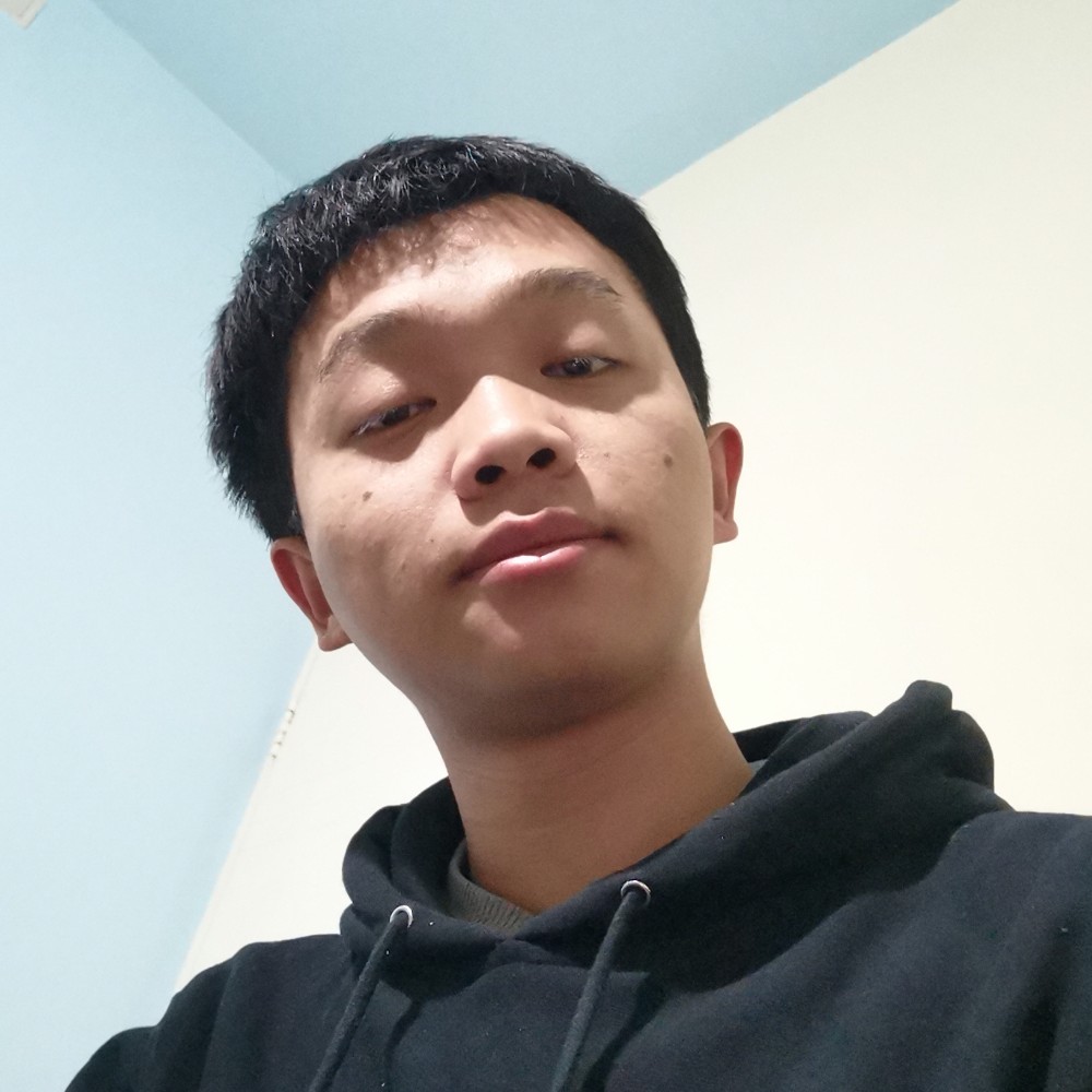 狗向调皮的照片