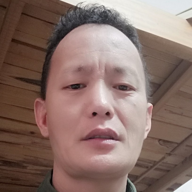 小小树苗的照片