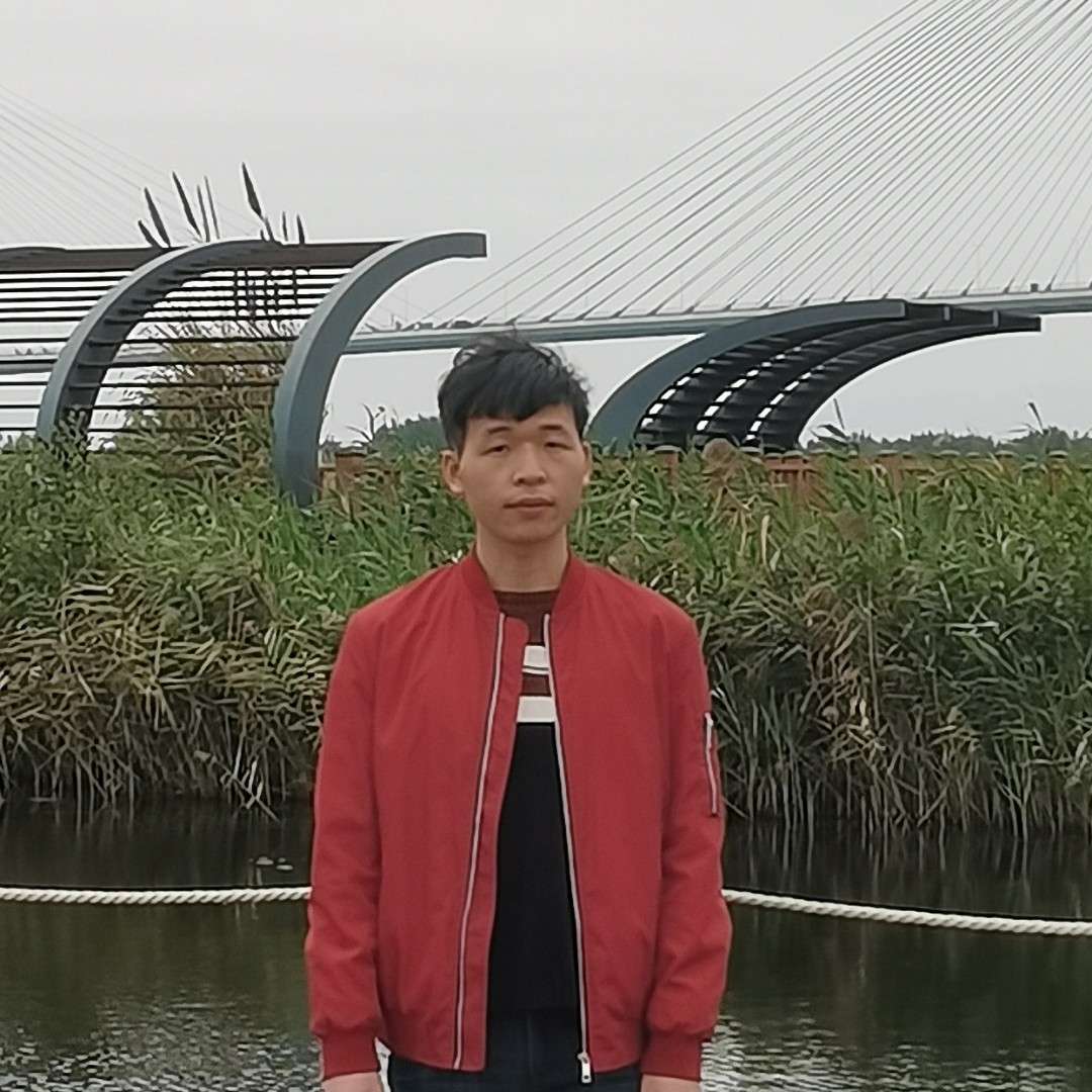 小熊猫还魁梧的照片