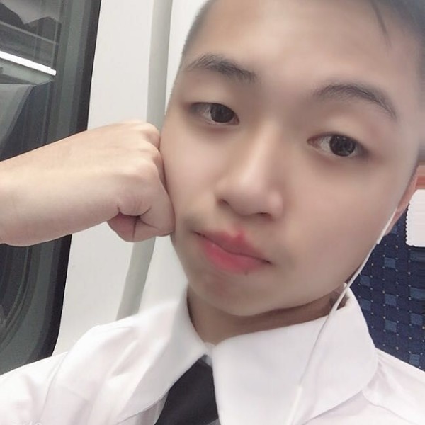 适合你的猪的照片
