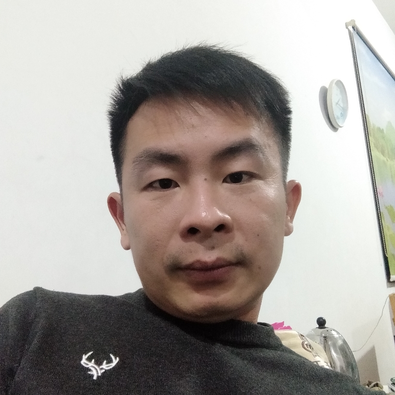小蜜蜂和矮小的照片