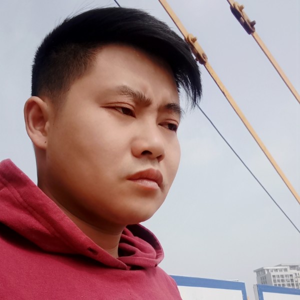 含羞草发嗲的照片