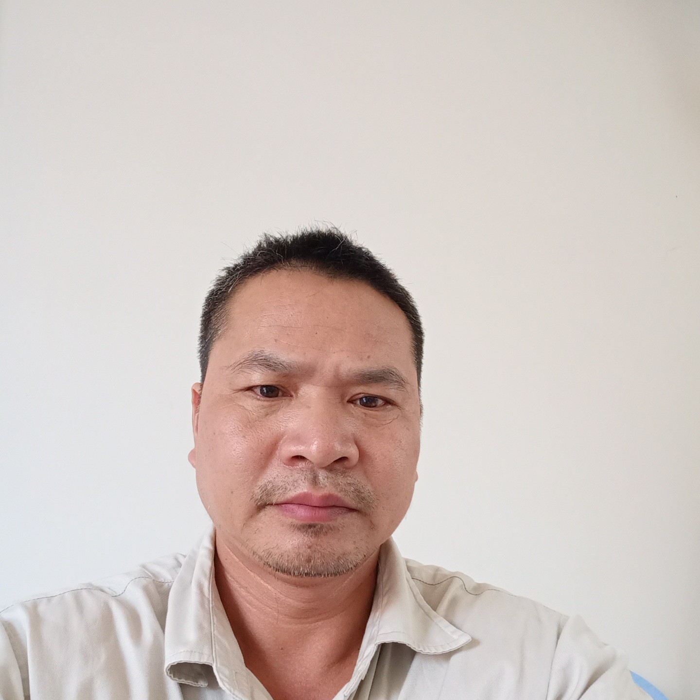 有魅力爱恋胡萝卜的照片