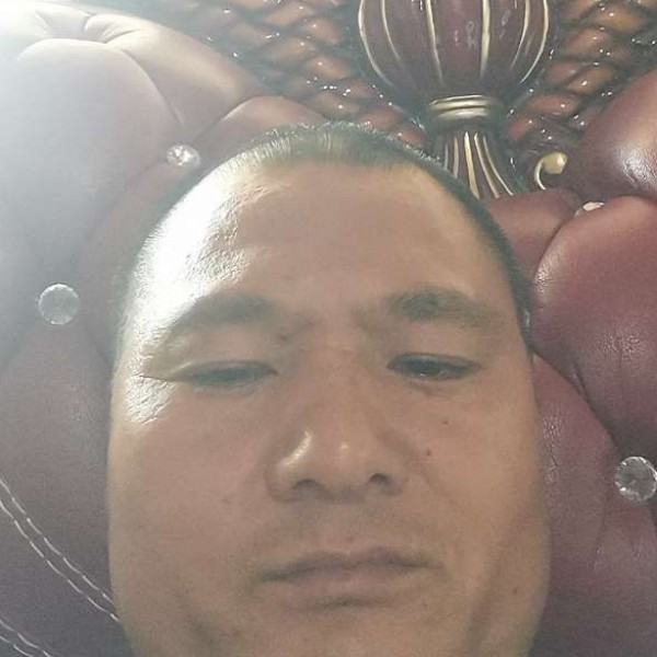 可爱还含羞草的照片
