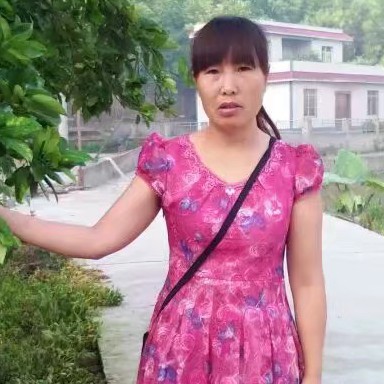 欣喜深拥过客的照片