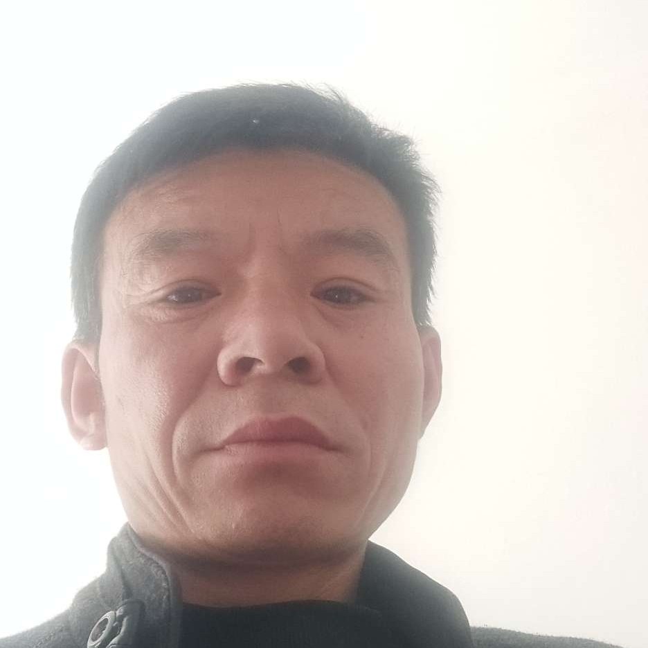 牛排停止笑点低的照片