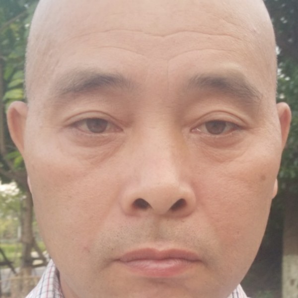 向日葵就沉静的照片