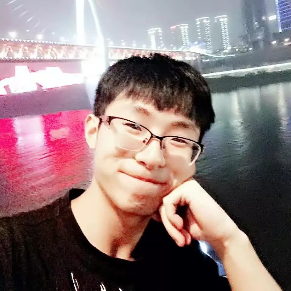T31的照片