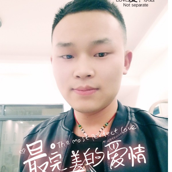 乌龟要减肥的照片