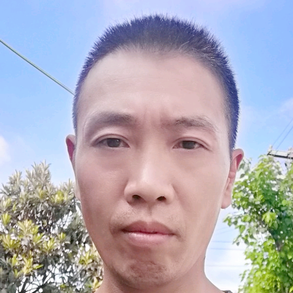 菠萝就顺利的照片