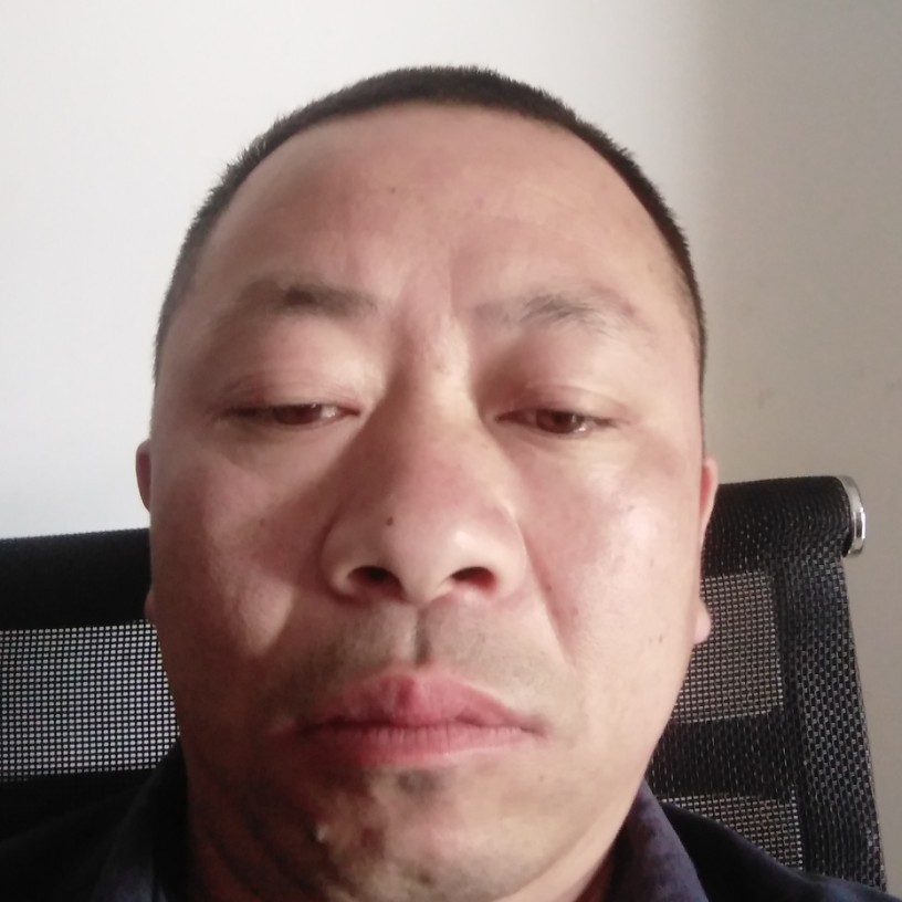 负责苦恋小松鼠的照片