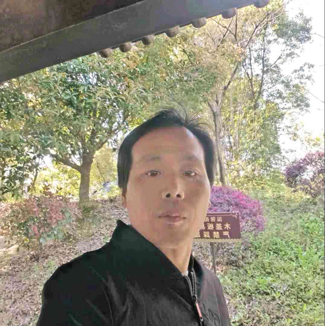 沉默的含羞草的照片