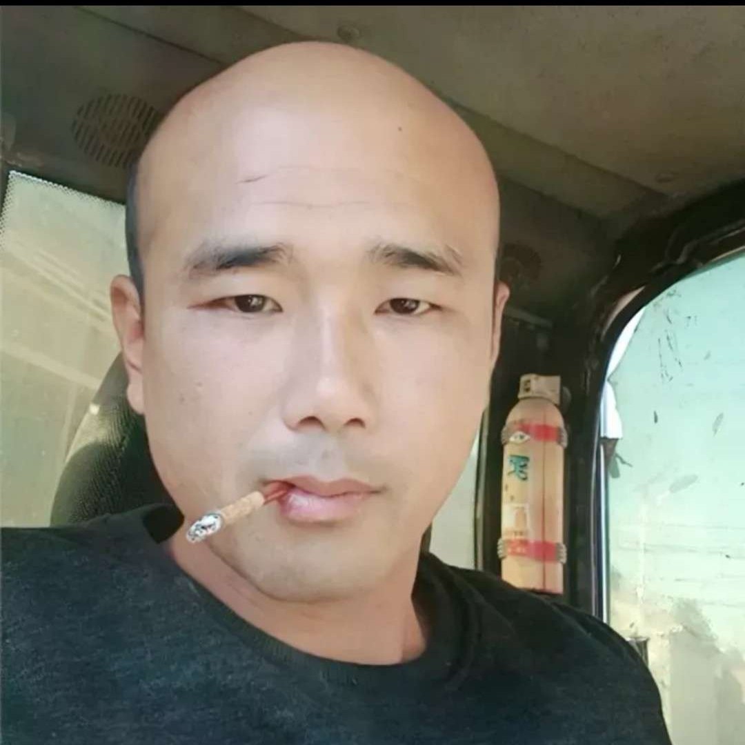 平淡挽手航空的照片