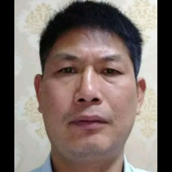 红玫瑰拾忆默默的照片
