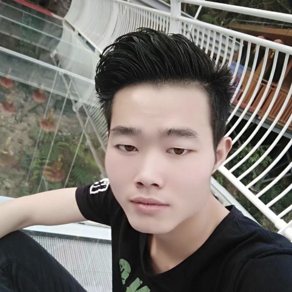 叶落浮尘的照片
