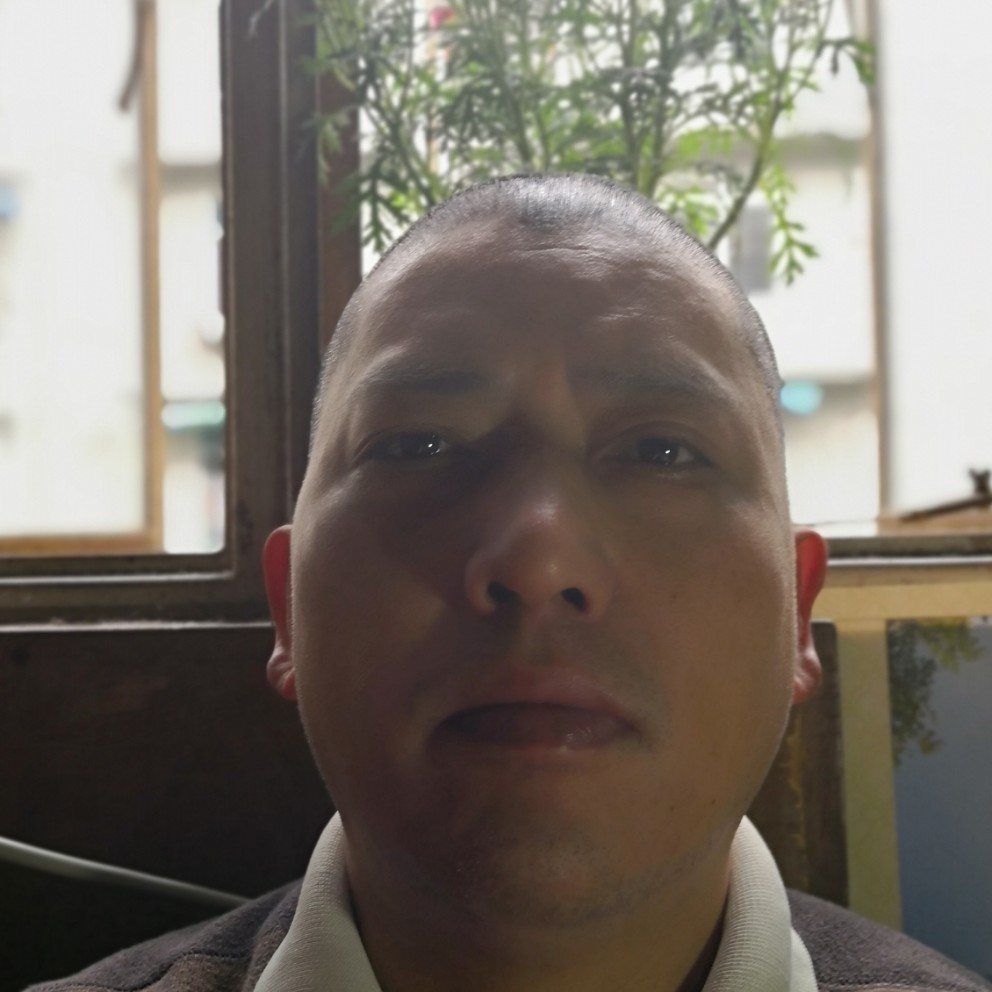 仙人掌想人陪的照片