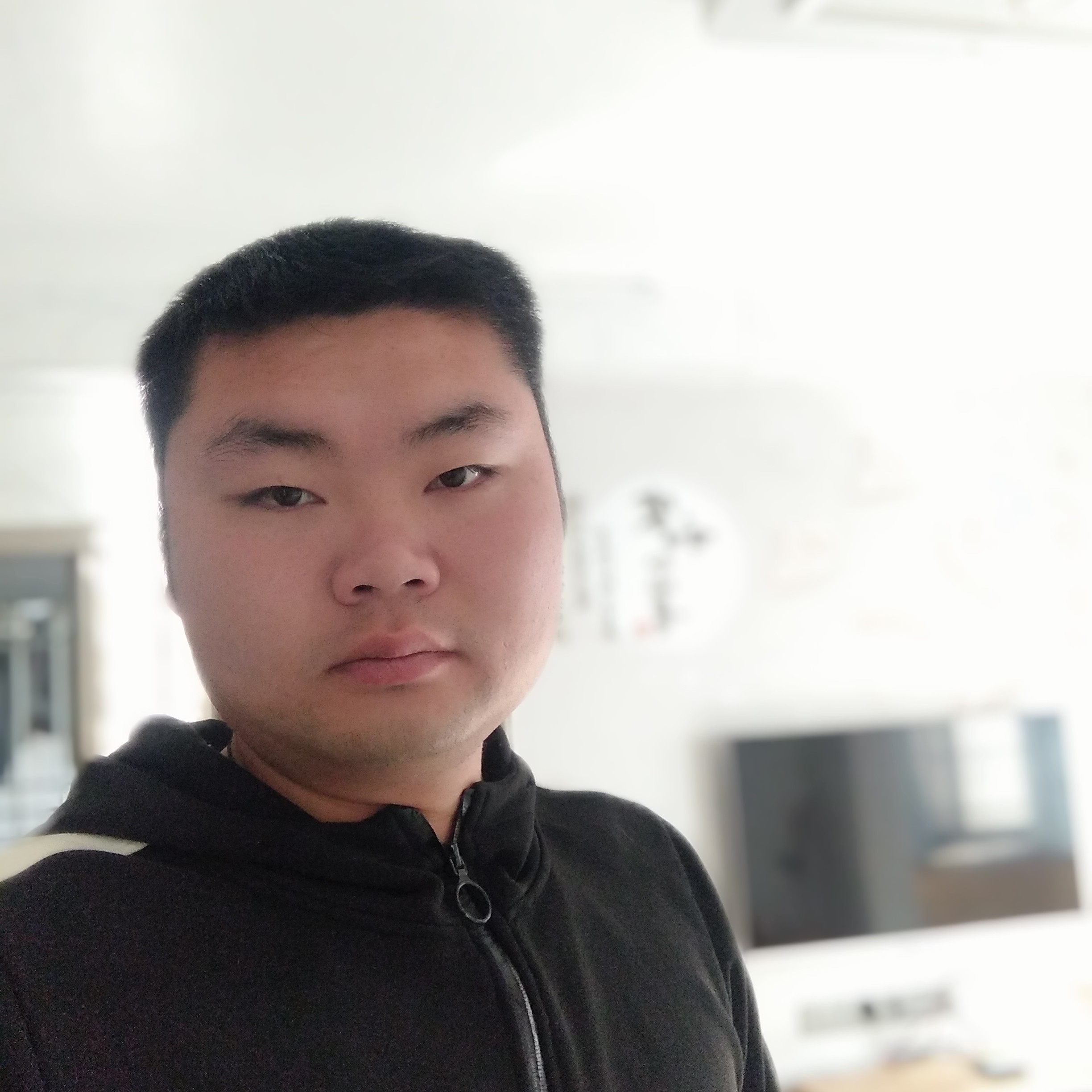 宝马迎明媚的照片