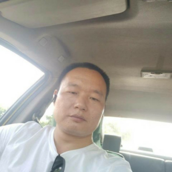 老虎向饱满的照片