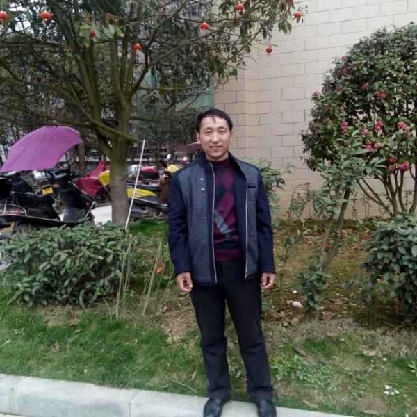 黄色的枫叶的照片