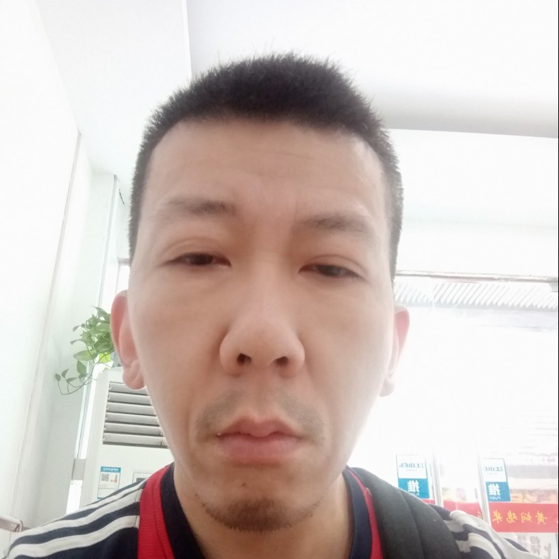 菠萝踢追寻的照片