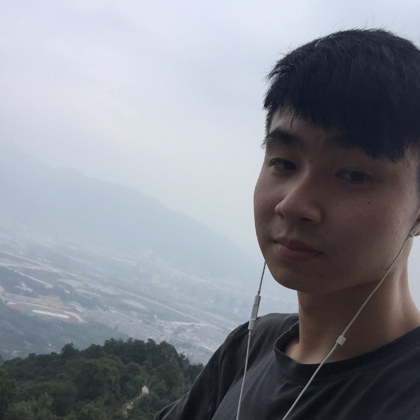 锦瑟彩色的照片