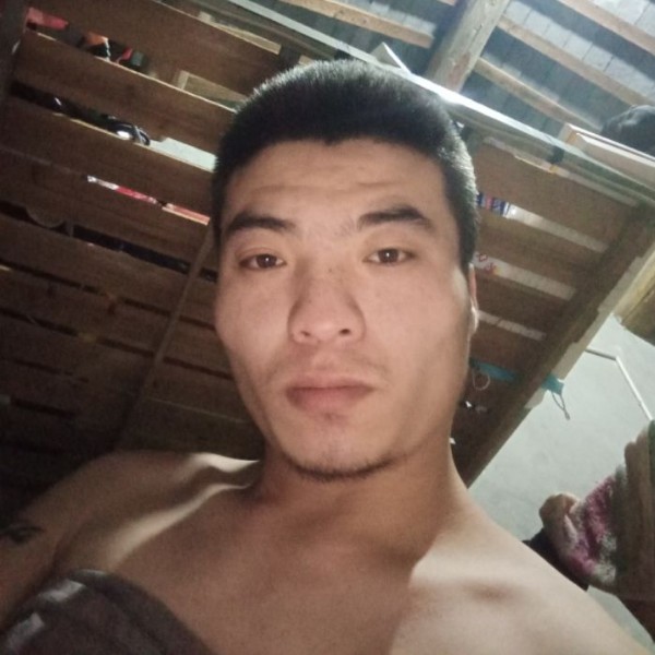 冷酷小蝴蝶的照片