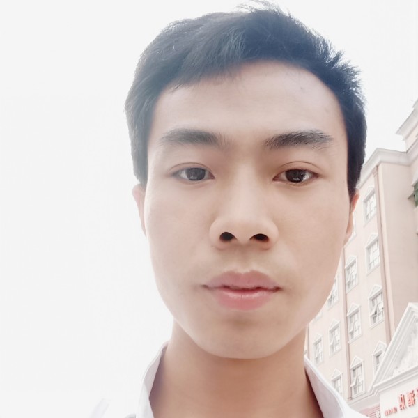 阳光保卫星月的照片
