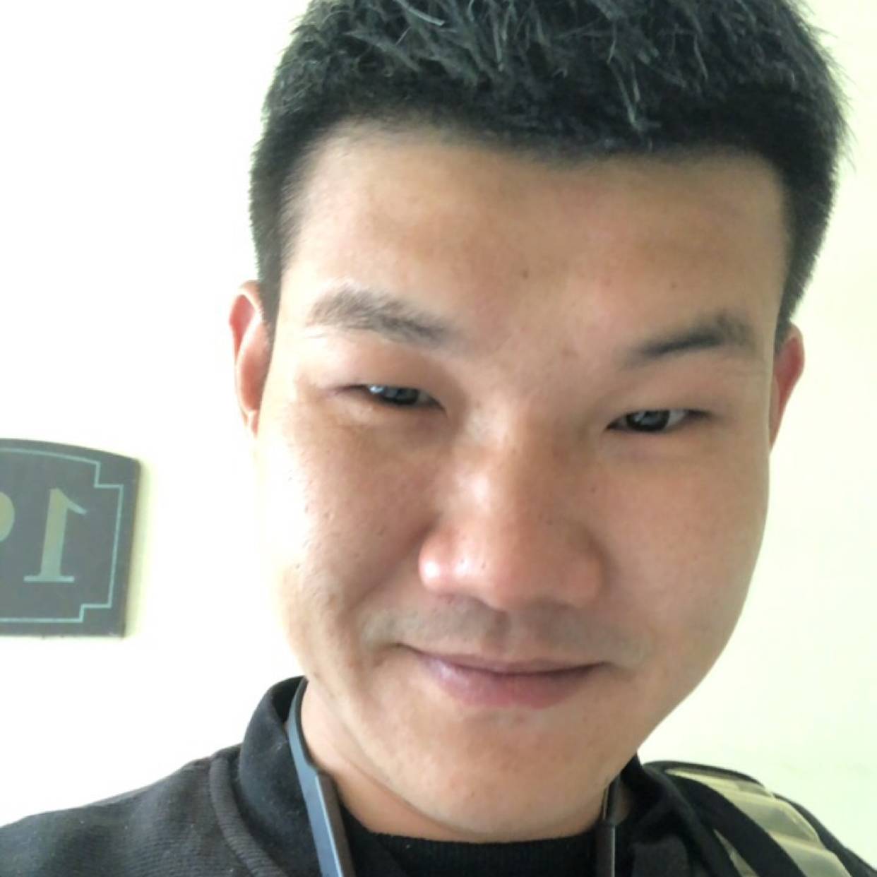 飞球额的照片