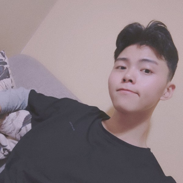 标致爱小海豚的照片