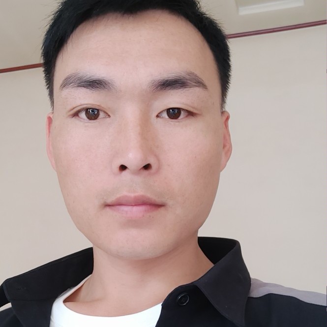 红玫瑰浅吻淡然的照片